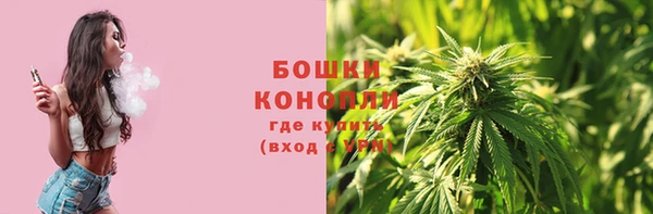 хмурый Верея