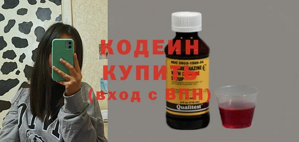 хмурый Верея