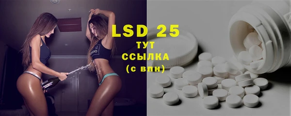 хмурый Верея