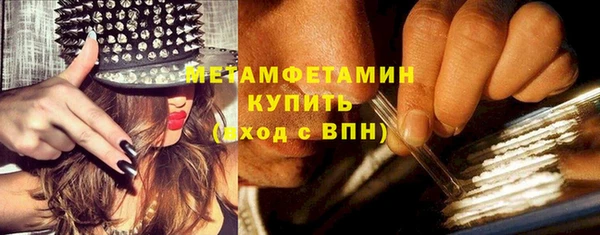 хмурый Верея