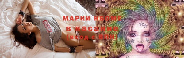хмурый Верея