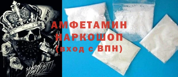 хмурый Верея