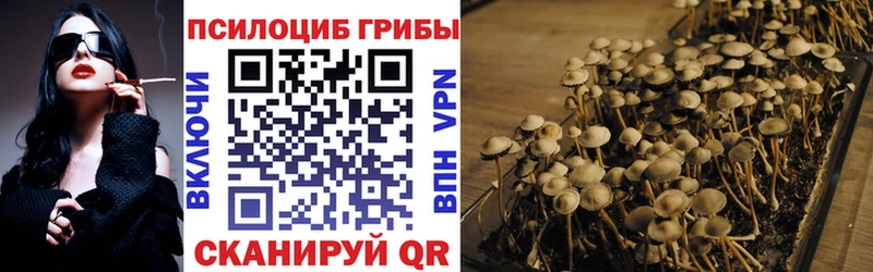 как найти закладки Льгов Псилоцибиновые грибы Magic Shrooms